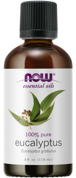 Eucalyptus Globulus Oil - 4 fl. oz.